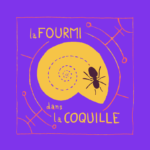 La fourmi dans la coquille