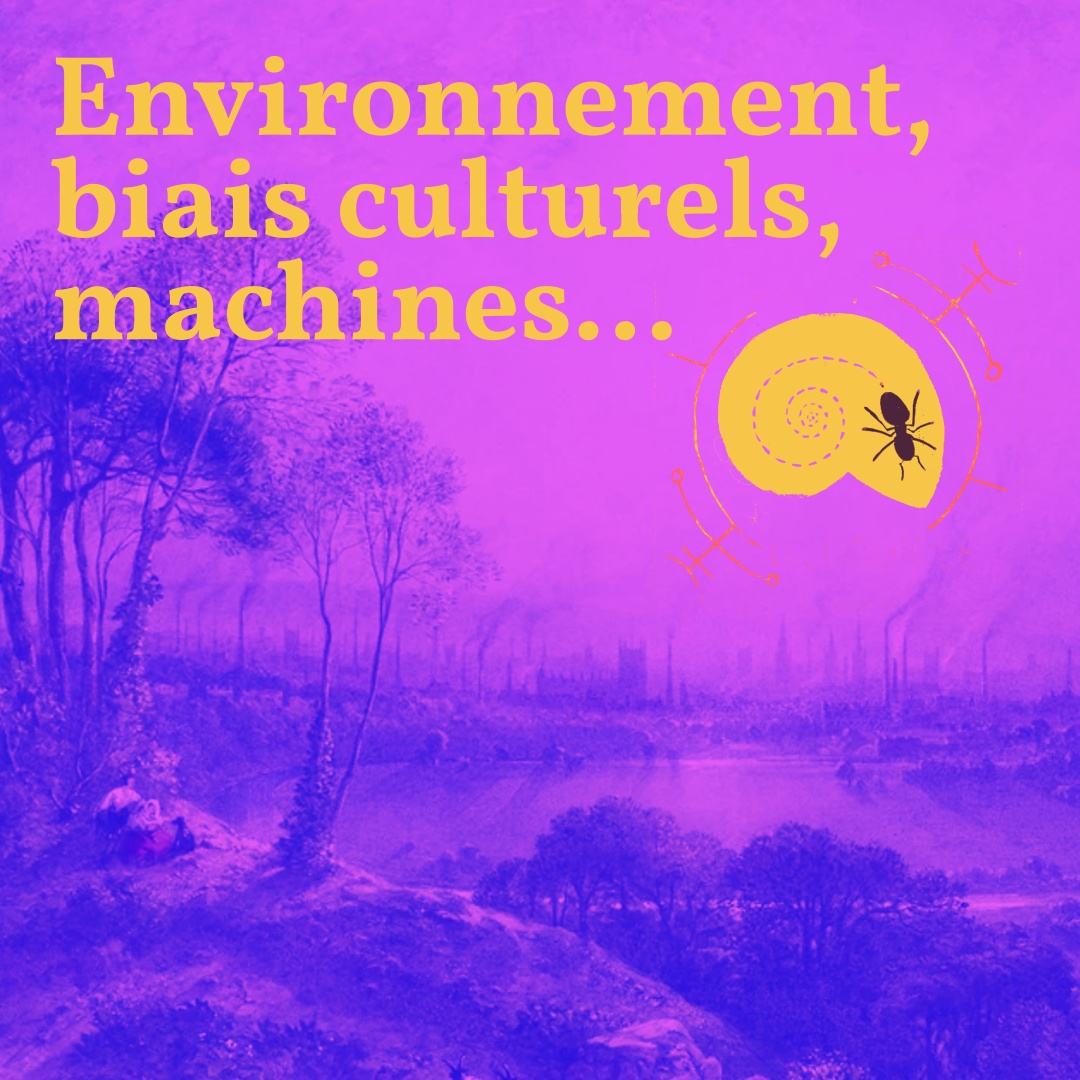 Épisode spécial : Environnement, biais culturels, machines… Une réponse à vos remarques episode artwork