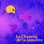 La fourmi dans la coquille