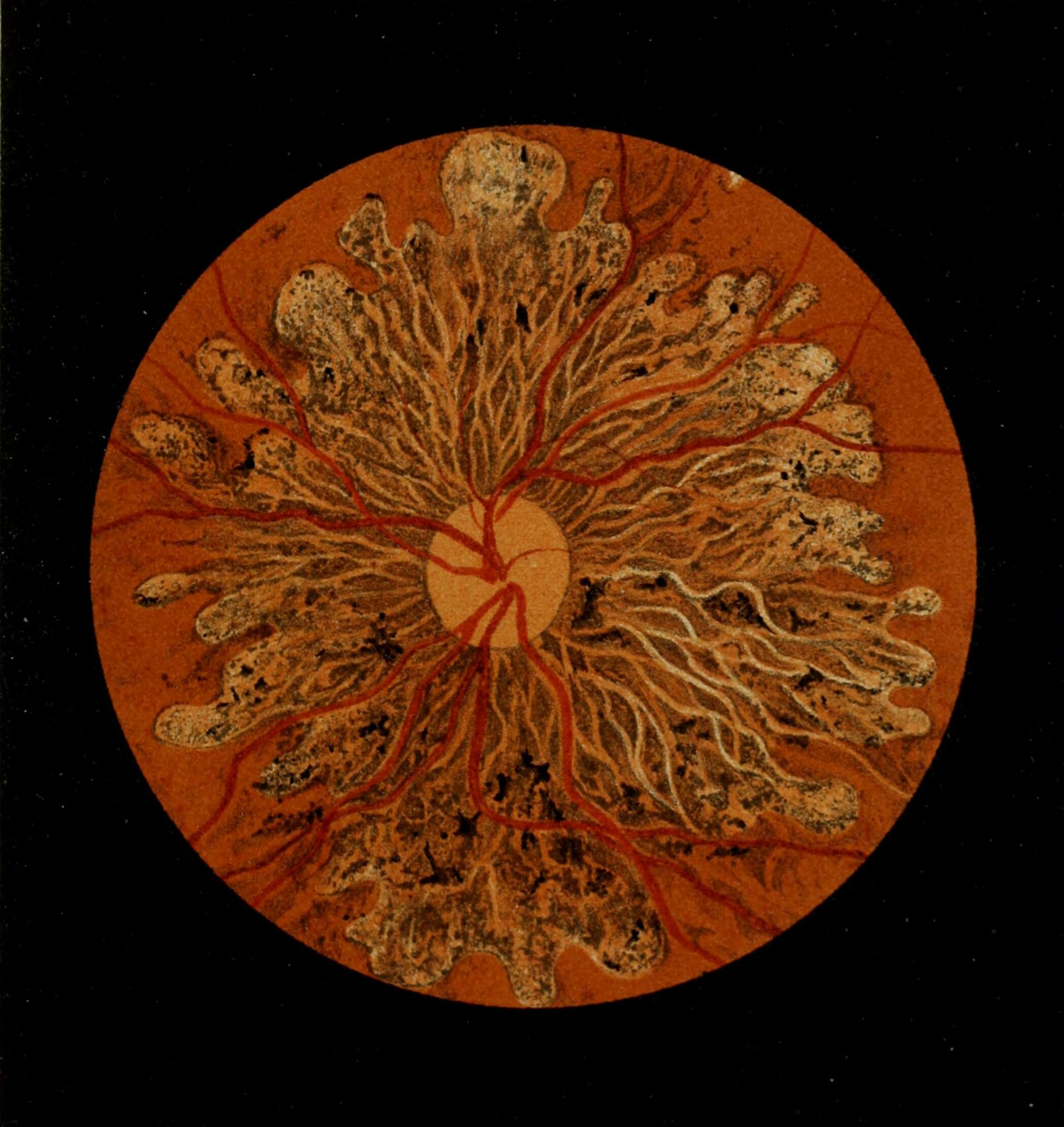 De la lumière à la couleur