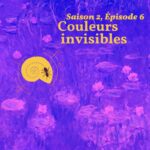 La fourmi dans la coquille