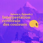 La fourmi dans la coquille