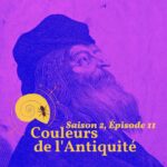 La fourmi dans la coquille: Philosophie, Science, Arts, Culture et Créativité.