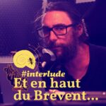 La fourmi dans la coquille: Philosophie, Science, Arts, Culture et Créativité.