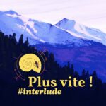 La fourmi dans la coquille: Philosophie, Science, Arts, Culture et Créativité.
